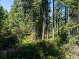 2531 Hanks Lake Road - Photo 26