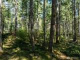 2461 Hanks Lake Road - Photo 11