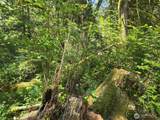 100 Liberty Road - Photo 6