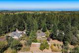 92 Forest Ridge Drive - Photo 3