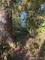 15620 Goldbar Drive - Photo 2