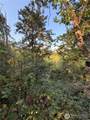 15620 Goldbar Drive - Photo 4