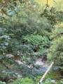 15620 Goldbar Drive - Photo 6