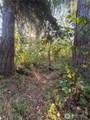 15620 Goldbar Drive - Photo 9