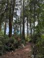 13220 244th St - Photo 14