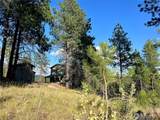 147 High Country Drive - Photo 19