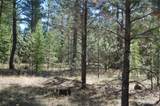 144 Cheif Joseph Trail - Photo 12