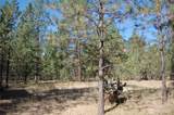 144 Cheif Joseph Trail - Photo 13