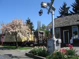885 Front Street - Photo 3