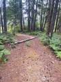 31 Rainbow Way - Photo 1
