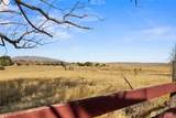 10 Birdsdale Road - Photo 21