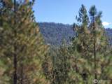 0 Long Horn Trail - Photo 1