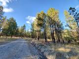 0 Long Horn Trail - Photo 7