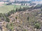 0 Gold Creek Loop Road - Photo 2