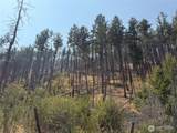 0 Gold Creek Loop Road - Photo 11