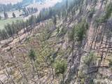 0 Gold Creek Loop Road - Photo 7