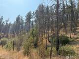 0 Gold Creek Loop Road - Photo 10