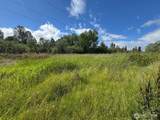 10614 44th Avenue - Photo 2