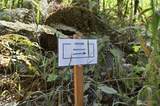 2041 Rasor Rd - Photo 12