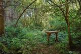 2041 Rasor Rd - Photo 8