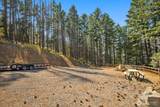 170 Pumphouse Hill Road - Photo 14
