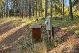 170 Pumphouse Hill Road - Photo 5