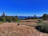 6065 Mcmaster Road - Photo 37
