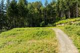 239 Junco Lane - Photo 18