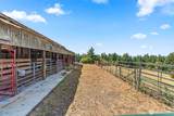 6215 Green Mountain Road - Photo 21