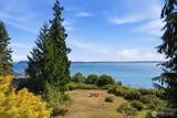 610 Tala Shore Drive - Photo 6