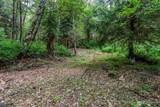 80 Salmon Creek Road - Photo 11