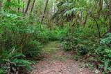 80 Salmon Creek Road - Photo 10
