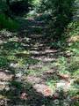 440 Cushman Ridge Drive - Photo 12