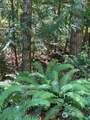 440 Cushman Ridge Drive - Photo 8