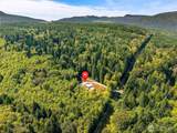 586 Samish Springs - Photo 15