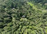 26020 Old Black Nugget Road - Photo 38