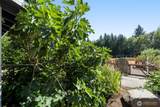 364 Blanchard Road - Photo 30