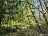 364 Blanchard Road - Photo 33