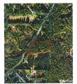 0 Holly Road - Photo 3