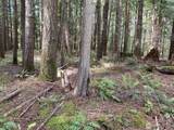 0 Holly Road - Photo 5