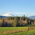 39827 Gerber Mckee Road - Photo 38