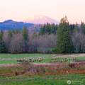 39827 Gerber Mckee Road - Photo 40