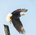 265 Sukyma Lane - Photo 9