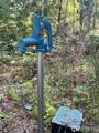 181 Rustic Ridge Drive - Photo 9