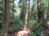 0 XXX State Route 101 - Photo 2