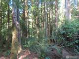 0 XXX State Route 101 - Photo 11