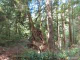 0 XXX State Route 101 - Photo 15