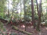 0 XXX State Route 101 - Photo 21