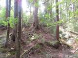 0 XXX State Route 101 - Photo 22