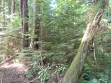 0 XXX State Route 101 - Photo 23